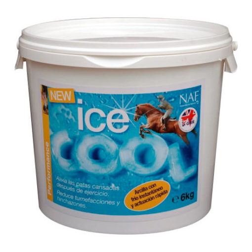 ICE COOL 3 KG - FRIO EN TENDONES